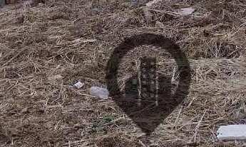 Imagem 3: TERRENO A VENDA NO JARDIM LETICIA, CAMPO GRANDE 128,00 M²