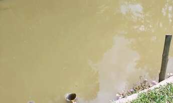 Imagem 7: Casa nova 1 km do asfalto lago proprio 220 mil