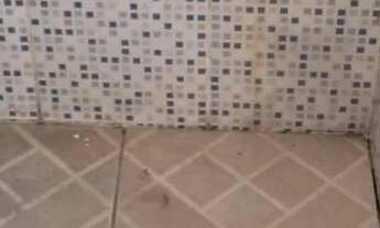 Imagem 6: Alugo casa em Cordovil