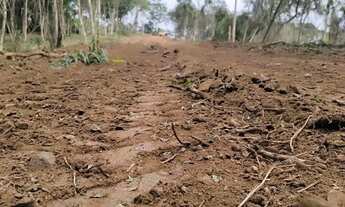 Imagem 4: Lotes de 1.000m² a 10 Min da Castelo Branco