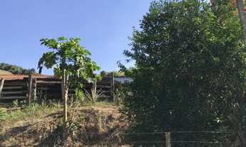 Imagem 3: Fazenda com 31 hectares em Rio Casca