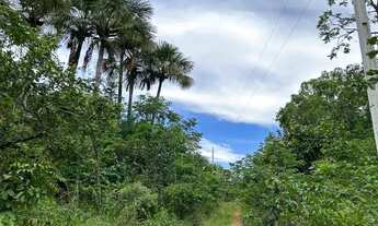 Imagem 7: Vendo Fazenda Próximo a Pirenópolis , 200metros do rio