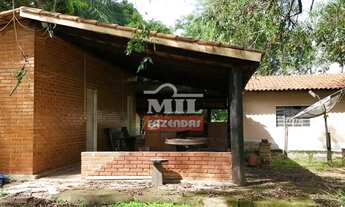 Imagem 6: Chácara 8.10 Alqueires (39.20 Hectares) Edealina - GO