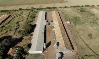 Imagem 2: Granja já pronta