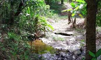 Imagem 4: Oportunidade, sítio em Iguape Guarapari 3 alqueires