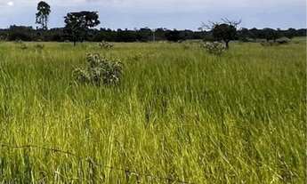 Imagem 6: Excelente sítio próximo Uberlândia 37,62 hectares