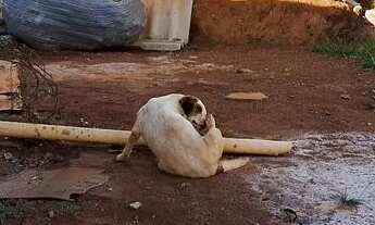 Imagem 2: Lote 400m2 Terreno / lote com venda por R$89.000