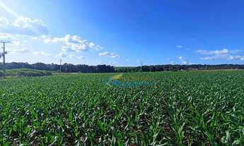 Imagem 2: Chácara à venda, 23405 m² por R$ 1.200.000,00 - São Salvador - Cascavel/PR