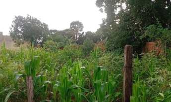 Imagem 3: Vende-se Terreno