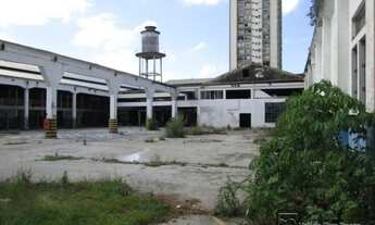 Imagem 2: BELéM - Galpão/Depósito/Armazém - Campina