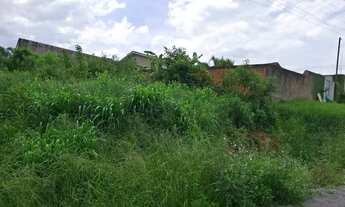 Imagem 3: Terreno campina grande /jardim Jacob ceccon