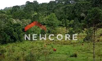 Imagem 2: Lote em Est Rincão dos Kroeff - Rincão do kroeff - São Francisco de Paula/RS