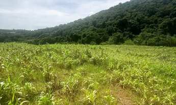 Imagem: Terreno 500m² à Venda em Ibiúna