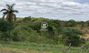 Imagem 5: SÍTIO Á VENDA NA SAÍDA PARA BOCAIUVA- MG