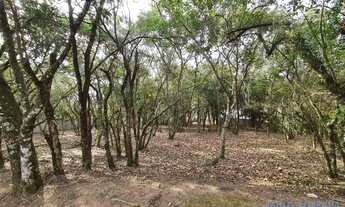 Imagem 4: TERRENO EM CONDOMÍNIO - VILA DE SÃO FERNANDO - SP