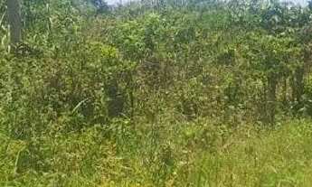 Imagem: Terreno praia de Itapoá