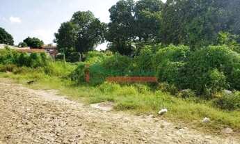 Imagem 3: Terreno para alugar com 3.200,00 metros quadrados no PIO XII - Teresina - Piauí