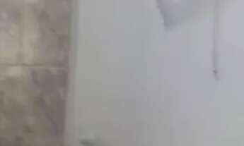 Imagem 4: Aluguel de casa Casa com 1 dormitório