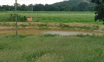 Imagem 2: Fazendinha Formada /Qualidade e Estrutura/Permuta Por Imovel Urbano