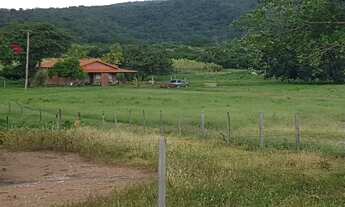 Imagem 6: Fazendinha Formada /Qualidade e Estrutura/Permuta Por Imovel Urbano