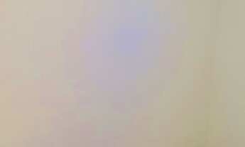 Imagem 3: 2 Dormitórios de Locação no Jd Das Plamas !!!