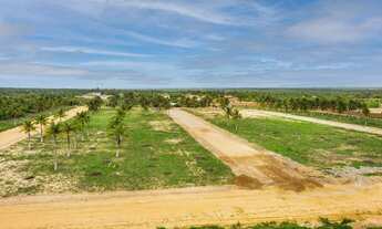 Imagem 5: RECANTO DOS PÁSSAROS LOTEAMENTO NO TRAIRI, CEARÁ