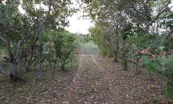 Imagem 4: Chácara Chácara com venda por R$280.000