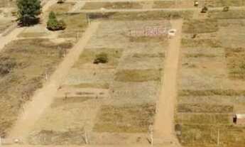 Imagem 4: Lote 26 de Setembro