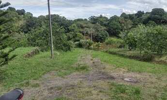 Imagem 6: Sítio Chácara com venda por R$170.000