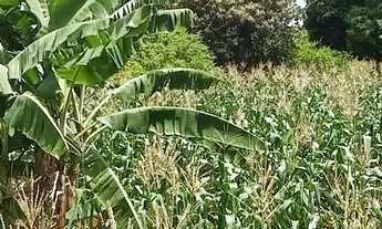 Imagem 5: Vende-se casas e lotes em Bonfinopolis