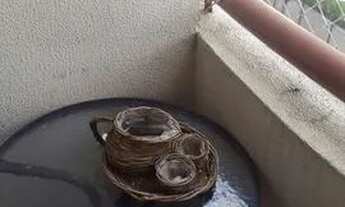 Imagem 7: APARTAMENTO - POMPÉIA - SP