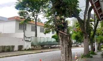 Imagem 6: São Paulo - Casa Padrão - Jardins