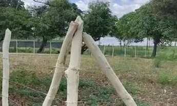 Imagem 3: Lte38359otes a venda no Eusébio - TE47111