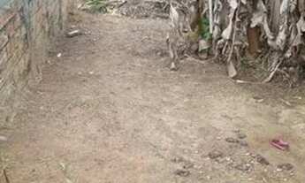 Imagem 6: Sitio Chácara com venda por R$87.000