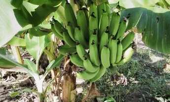 Imagem 2: Casa na Vila Magnólia (na altura de radier)