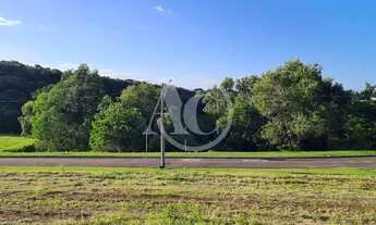 Imagem 3: Terreno a venda, Jardins Veneza, FGR, leve aclive com linda vista para mata atlântica, Int