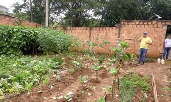 Imagem 4: Terreno 11x 25 Jd derminio