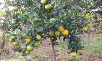 Imagem 6: Casa em Nova Sta Rita RS direto com o proprietário