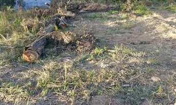 Imagem 2: Lote/Terreno para venda possui 600 metros quadrados em Centro - Igaratá - SP