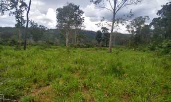Imagem 6: Fazenda Sitio Roça Chacara Alqueire Venda Tocantins Setor Região Cidade