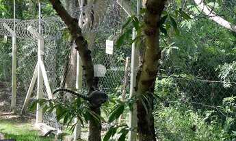 Imagem 2: Venda e locação