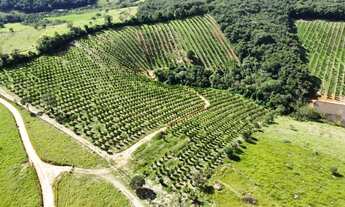 Imagem 4: Terreno de 14 hectares com muita água e duas lindas lagoas!!