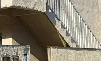 Imagem: Coroa grande, itacuruça, muriqui