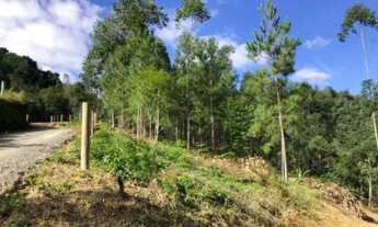 Imagem 7: Sítio/Chácara 20.000m²