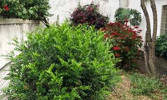 Imagem 3: Sobrado para venda com 451 metros quadrados com 3 quartos em Vila Cordeiro - São Paulo - S