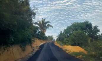 Imagem 4: Sítio top na Am010, Rio Preto da Eva com 500.000m2 valor R$ 900mil