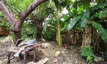 Imagem 4: Terreno - venda Terreno / lote com venda por R$1.300.000