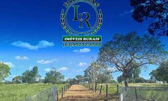 Imagem: Chácara de 5 alqueires Próximo a Paraiso