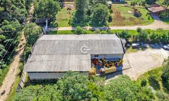 Imagem: Barracão em chácara à Venda na Colônia