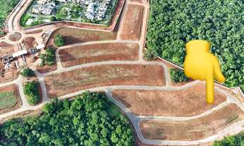 Imagem 6: Ágio Jardins Amsterdã